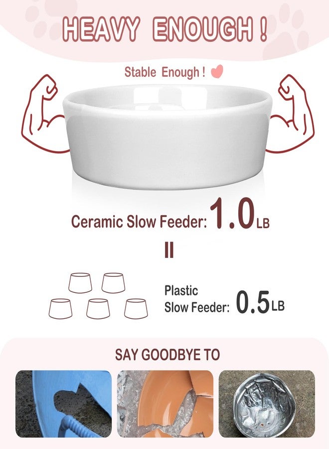 TRUVIC Ceramic Slow Feeder Dog Bowls Small Breed, 0.6 Cup Slow Feeder Cat Bowls for Fast Eaters, Ceramic Dog Food Dish no Black Chin, Puzzle Bowl for Small Dogs and Cats, White - Image 5